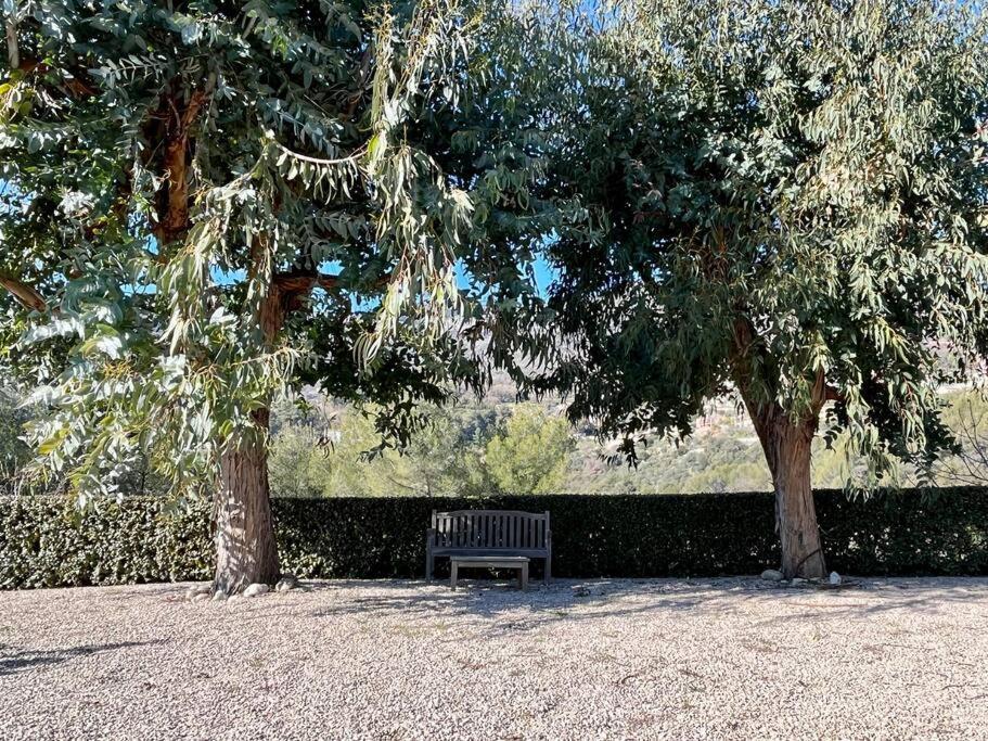 Villa Et Piscine Au Jardin Typique Mediterraneen Carros Exterior foto